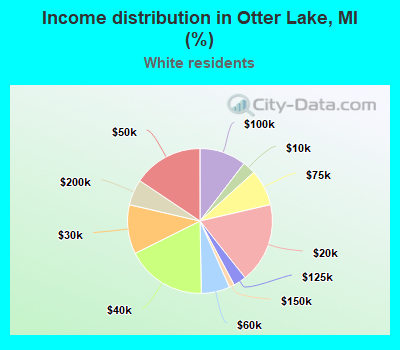 Income distribution in Otter Lake, MI (%)