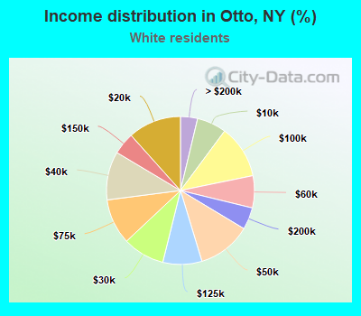 Income distribution in Otto, NY (%)