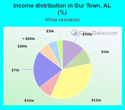 Income distribution in Our Town, AL (%)