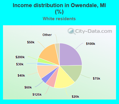 Income distribution in Owendale, MI (%)