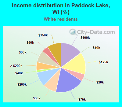 Income distribution in Paddock Lake, WI (%)