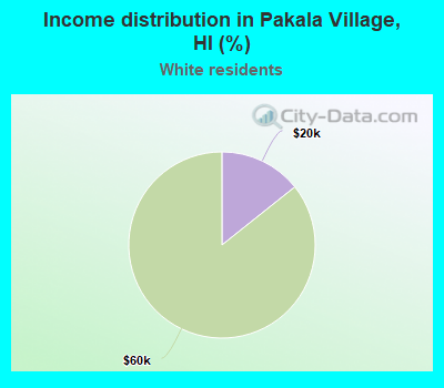 Income distribution in Pakala Village, HI (%)