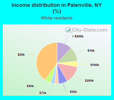 Income distribution in Palenville, NY (%)