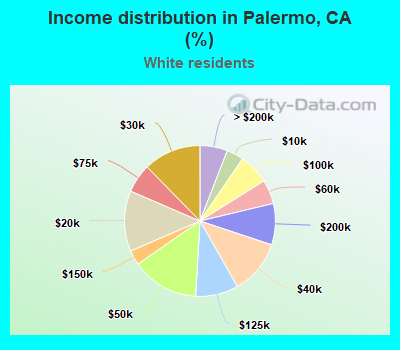 Income distribution in Palermo, CA (%)