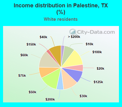 Income distribution in Palestine, TX (%)