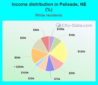 Income distribution in Palisade, NE (%)
