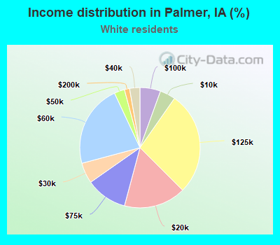 Income distribution in Palmer, IA (%)