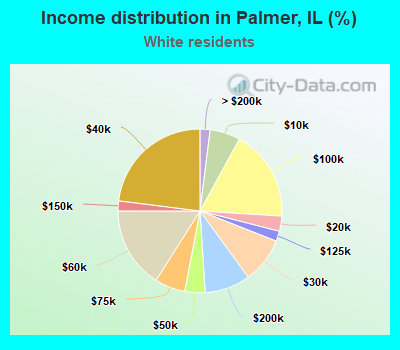 Income distribution in Palmer, IL (%)