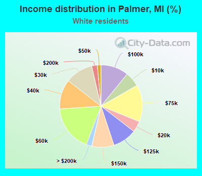 Income distribution in Palmer, MI (%)