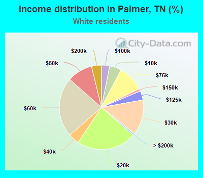 Income distribution in Palmer, TN (%)