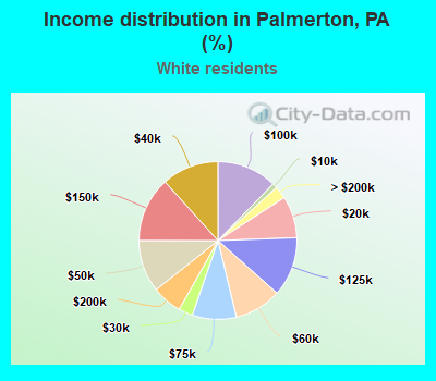 Income distribution in Palmerton, PA (%)