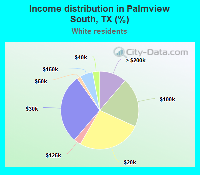 Income distribution in Palmview South, TX (%)