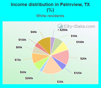 Income distribution in Palmview, TX (%)