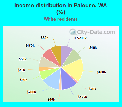 Income distribution in Palouse, WA (%)