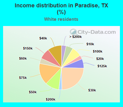 Income distribution in Paradise, TX (%)