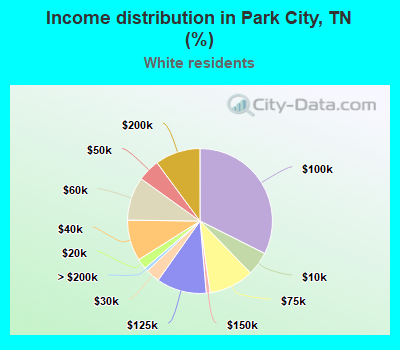 Income distribution in Park City, TN (%)