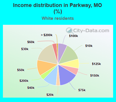 Income distribution in Parkway, MO (%)