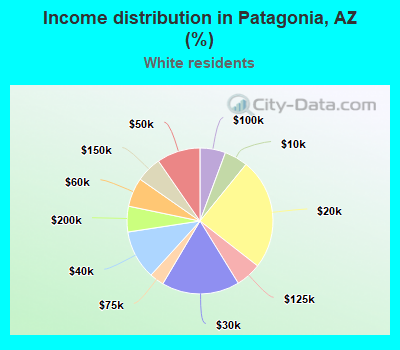 Income distribution in Patagonia, AZ (%)