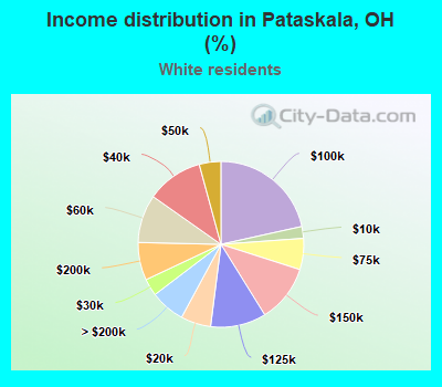 Income distribution in Pataskala, OH (%)