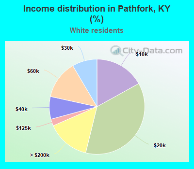 Income distribution in Pathfork, KY (%)