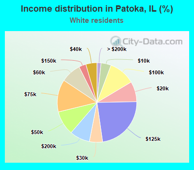 Income distribution in Patoka, IL (%)