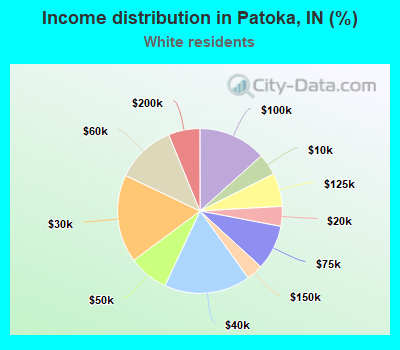 Income distribution in Patoka, IN (%)