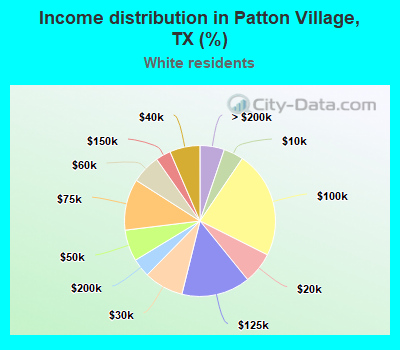 Income distribution in Patton Village, TX (%)