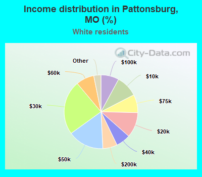 Income distribution in Pattonsburg, MO (%)