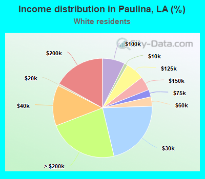 Income distribution in Paulina, LA (%)