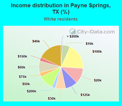 Income distribution in Payne Springs, TX (%)