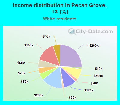 Income distribution in Pecan Grove, TX (%)