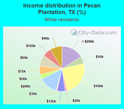 Income distribution in Pecan Plantation, TX (%)