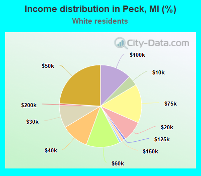 Income distribution in Peck, MI (%)