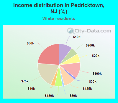 Income distribution in Pedricktown, NJ (%)