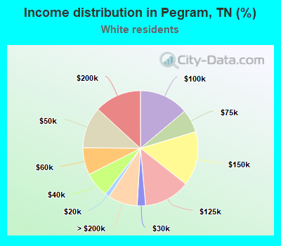 Income distribution in Pegram, TN (%)