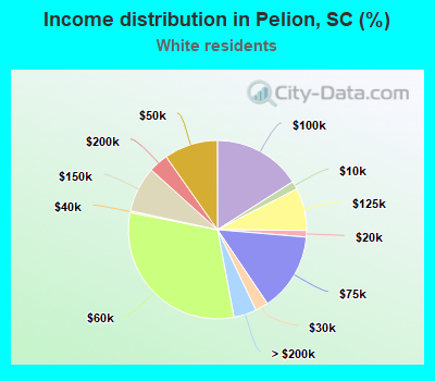 Income distribution in Pelion, SC (%)
