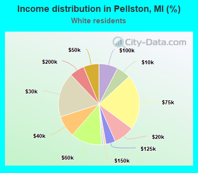 Income distribution in Pellston, MI (%)