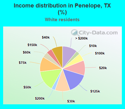 Income distribution in Penelope, TX (%)