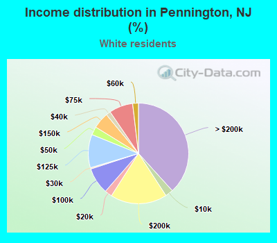 Income distribution in Pennington, NJ (%)