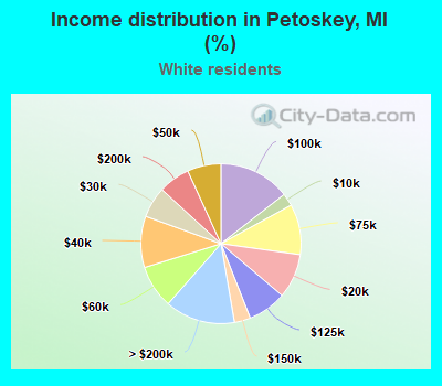 Income distribution in Petoskey, MI (%)