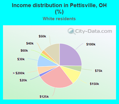 Income distribution in Pettisville, OH (%)