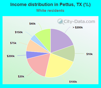 Income distribution in Pettus, TX (%)