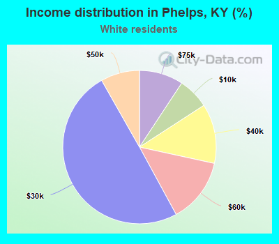 Income distribution in Phelps, KY (%)