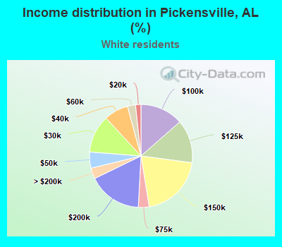 Income distribution in Pickensville, AL (%)