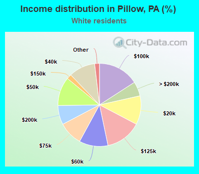 Income distribution in Pillow, PA (%)
