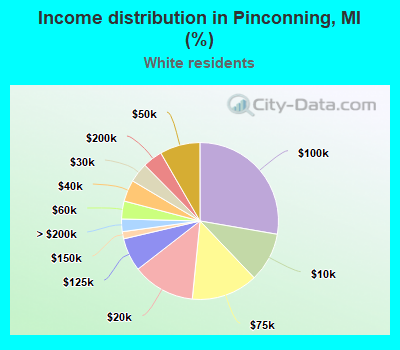 Income distribution in Pinconning, MI (%)
