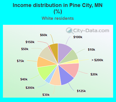 Income distribution in Pine City, MN (%)