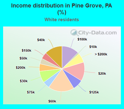 Income distribution in Pine Grove, PA (%)