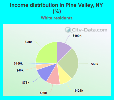 Income distribution in Pine Valley, NY (%)
