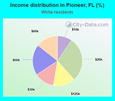 Income distribution in Pioneer, FL (%)